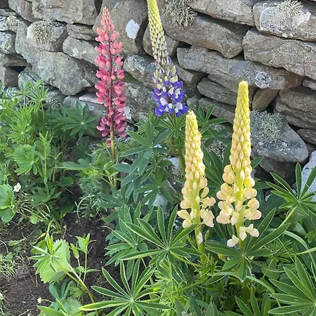 Frühstückspension The View